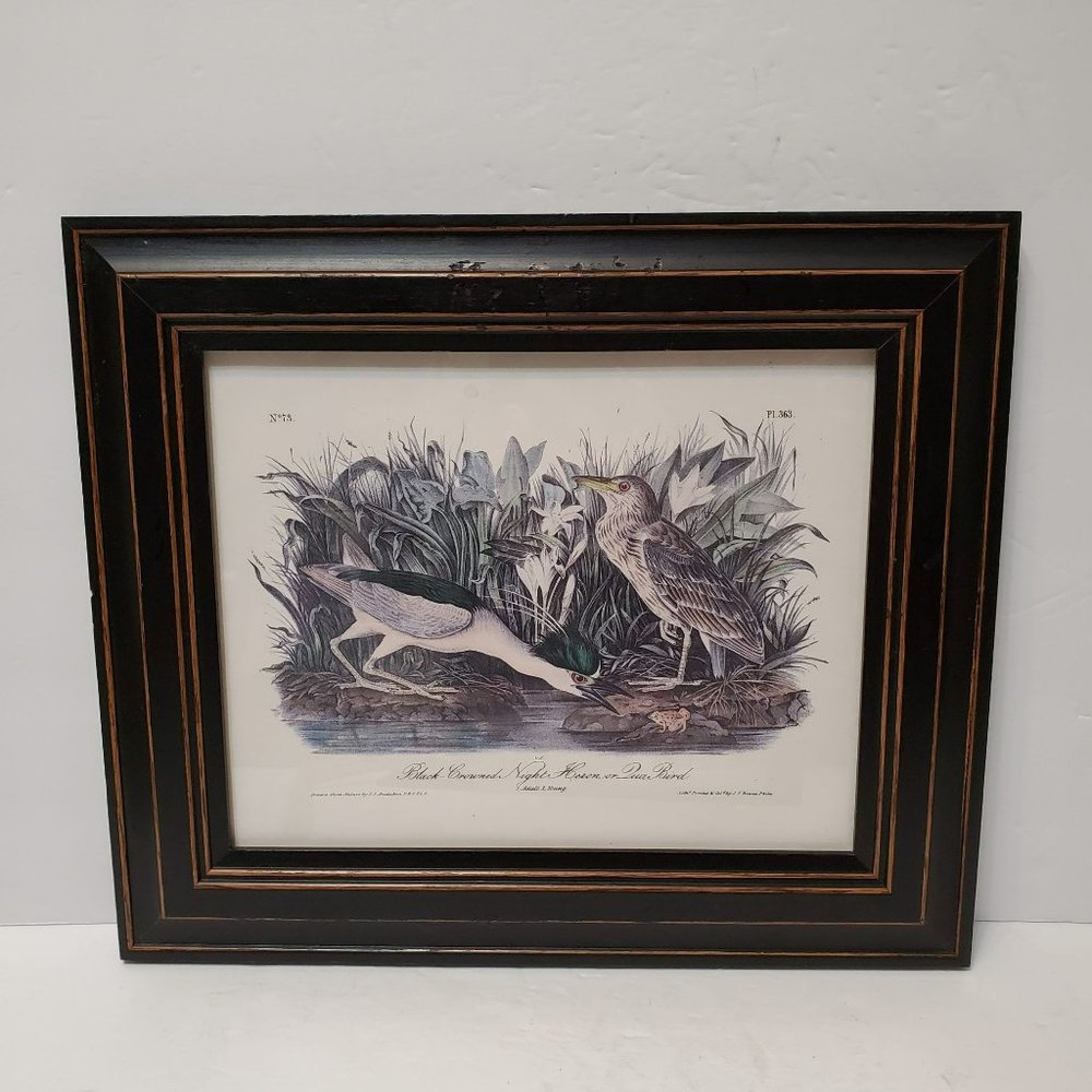 Framed Audubon Print "Black-Crowned Night Heron or Qua Bird" from J.T. Bowen